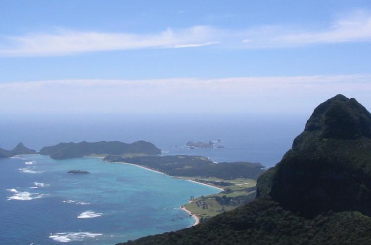Rodent eradication gives Lord Howe Biodiversity Boom