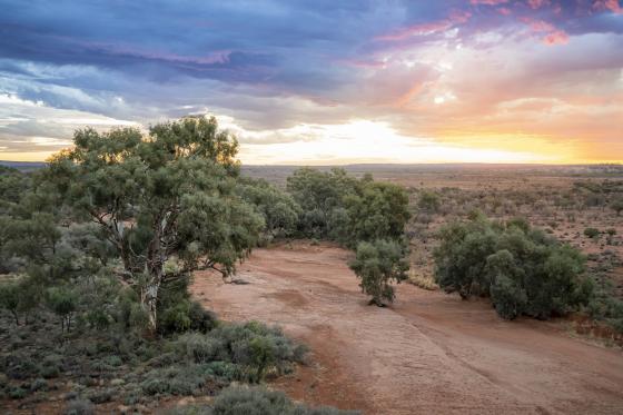 NEW OUTBACK RESERVE TO PROTECT DIVERSE WESTERN WILDERNESS