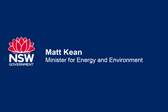 Minister for Energy and Environment