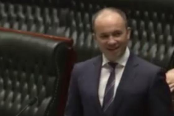 Member for Hornsby Matt Kean MP speaks in Parliament about Mount Kuring-gai Public School 